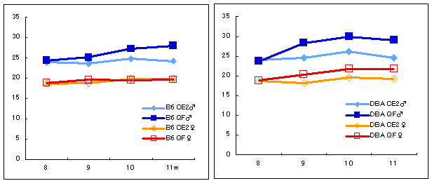 C57BL/6J (B6)とDBA/2J (DBA2)の飼料と体重変化の比較